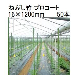 (50本セット) タキロンシーアイ (業務用 農業用支柱) 被覆鋼管支柱 ねぶし竹 プロコート 16×1200mm 新ねぶし竹 シンネブシ 16mm×1.2m (個人宅配送不可)｜tackey