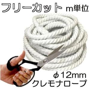 (日本製 強力タイプ) クレモナロープ 直径12...の商品画像