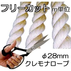 東リ（TOLI） TMフロア リノリウム リノリューム バレエ用床材シート