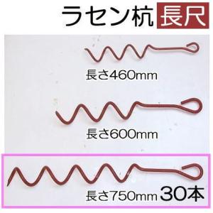 住化農業資材 (徳用50本セット) ネオドリップ・M用保持具 50個 (ネオ