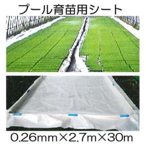 プール育苗用シート 0.26mm×2.7m×30m 育苗用プールシート