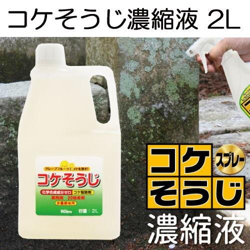 コケそうじ 濃縮液 2L 20倍希釈タイプ 業務用 いしくらげ対策に 日本製 こけ駆除 苔除去 パネ...