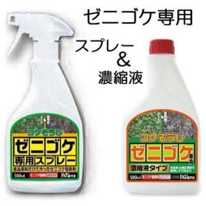 (特価セット) コケそうじ (ゼニゴケ専用スプレー 500ml 1本 と ゼニゴケ専用濃縮液 500ml 1本) パネフリ工業｜tackey