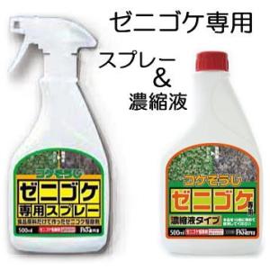 (お買い得セット) コケそうじ (ゼニゴケ専用スプレー 500ml 1本 と ゼニゴケ専用濃縮液 5...
