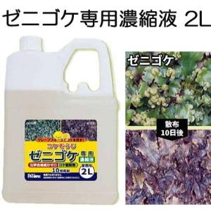 (送料無料) コケそうじ ゼニゴケ専用濃縮液 2L 業務用 パネフリ工業 (SDS確認済)