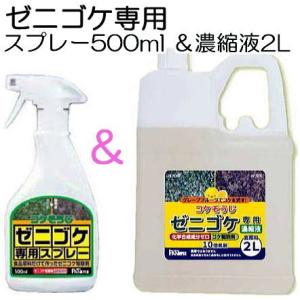 (お買い得2点セット 送料無料) コケそうじ (ゼニゴケ専用スプレー 500ml と ゼニゴケ専用濃...
