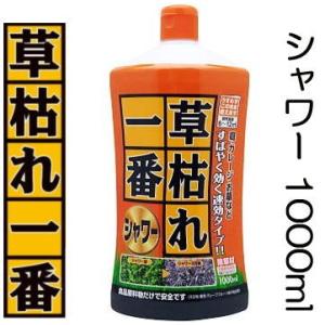 (速効タイプ) 草枯れ一番シャワー 1000ml 除草剤 パネフリ工業 (レターパックor佐川等)