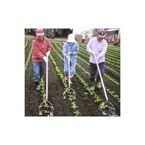 キュウホー 魔法のカルチW ネギ用 P046-BWAEA 手押し式株間除草機 (旧