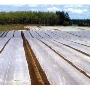 農業用べたがけ資材 不織布 パオパオ90　210cm×200ｍ 透光率90％ 九州の法人なら送料無料