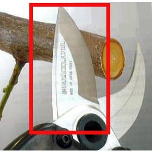 MAX ザクリオ 替刃 (上刃) PA90021 充電式剪定鋏用 PA-SJ30VA-BCK マック...