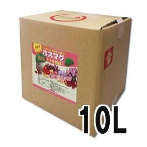 SHINSEI (50本セット) 園芸支柱 イボ付 鋼管竹 φ16mm×2.4m 16×2400mm