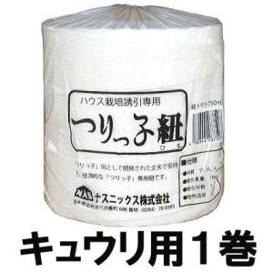 【サビに強い‼️】亜鉛メッキ針金④太さ2㎜　20kg SC 佐藤ケミカル 亜鉛メッキ 針金 #8(4.0mm)×25kg巻 約250m * : 岩内