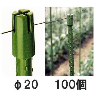 園芸支柱用 十字キャップ φ20mm用 徳用100個セット sin｜tackey