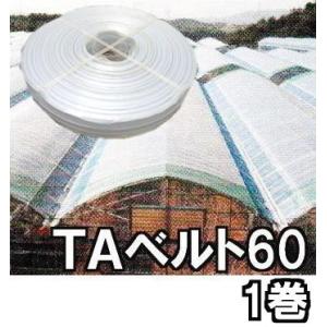 1ケース 400個セット特価) ハウスバンド クルクルバンド 大 ビニール