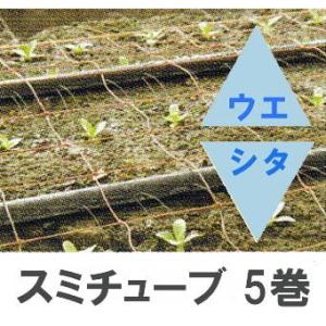 潅水チューブ スミサンスイ 住化農業資材 R横とび 100m巻 主に「果樹園