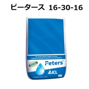 3000枚入) シンワ 高品質 フラワースリーブ 多孔 花袋 12号 #25 400