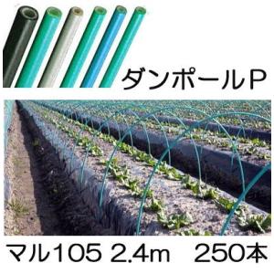 徳用250本セット) ダンポールP マル85 ×2.1m 緑 トンネル幅100cm 宇部