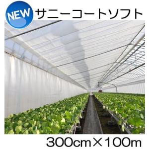 (徳用2本セット) サニーコートソフト 300cm×100ｍ ハウス内張り被覆材 宇部エクシモ｜tackey