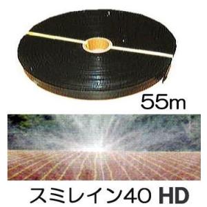 スミレイン 40 100m巻　散水ホース 黒 スミレイン 40 住化農業資材 散水・かん水チューブ 【通販