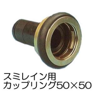 タカショー マリンライト ブラス (ウォールタイプ) 100V マリンライト