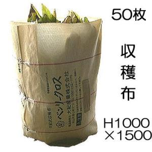 ねぎまき Amazon | 25枚 ネギマキネット Sタイプ 60cm×100cm ネギ 枝豆 花 収穫