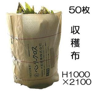 25枚 ネギマキネット Lタイプ 60×125cm ネギ 枝豆 花 収穫ネット