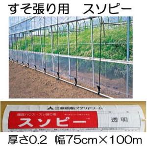 ハウス スソ張り用農PO スソピー 厚さ0.2mm×幅75cm×長さ100ｍ すそ張りシート ポリオ...