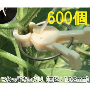 5枚セット) 東京戸張 ながいもネット 網目24cm 1.8m×200m NB18200 白