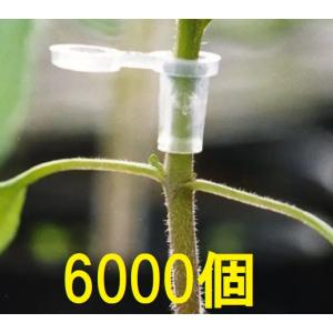 1000個入) 接木ホルダー スーパーウィズ ナスニックス ※14号、17号、20