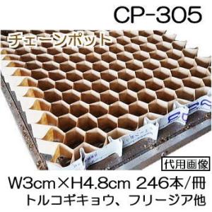 ポットシーダー  CP300 H-1 裸種子(ネギ)  チェーンポット 土詰・播種4点セット 日本甜菜製糖 ニッテン チェーンポット 土詰・播種4点セット CP300 H-1-A (大) (CP303,CP304