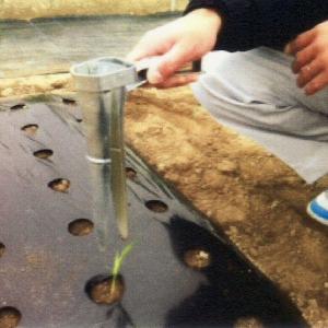 55mm ハンド移植器 苗投入口55mm 玉ネギ苗の定植に 穴なしマルチにも