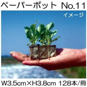 ニッテン ペーパーポット No.11 128本付 レタス、キャベツ、白菜、春菊、スイートコーンに 水...