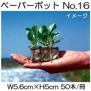 ペーパーポット No.15 220本付200冊 レタス、ネギ、ニラ、スイート