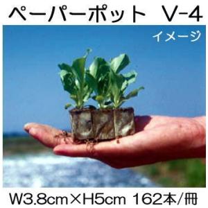 ペーパーポット SM3162 162本付200冊 キャベツ、はくさい、レタスに