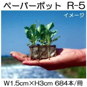 同梱 M.様 ポットごと梱包 11苗+オマケ1苗 71F-OSD+LgL._AC_UF894,