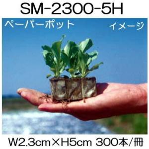ペーパーポット ソ-1 (No.1) 1400本付30冊 家畜ビート、根菜類に 