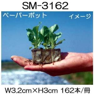 ペーパーポット No.2-264 (5H) 264本付105冊 スイートコーンなどに
