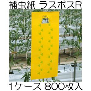 みのる産業 スマートキャッチャーII CLF-700 吸引式LED捕虫器 防滴型