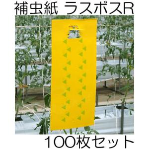 みのる産業 スマートキャッチャーII CLF-700 吸引式LED捕虫器 防滴型