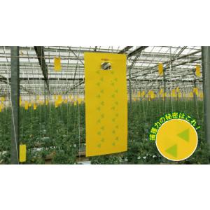 (100枚セット) ラスボスRタイプ 20枚入...の詳細画像1