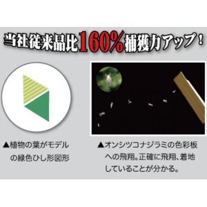 (100枚セット) ラスボスRタイプ 20枚入...の詳細画像2