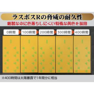 (100枚セット) ラスボスRタイプ 20枚入...の詳細画像3