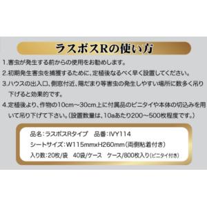 (100枚セット) ラスボスRタイプ 20枚入...の詳細画像4