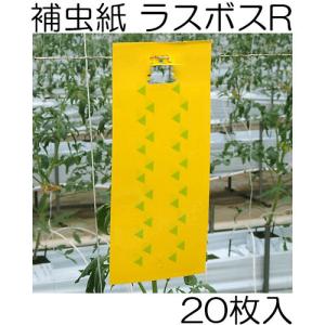 補虫シート ラスボスRタイプ 20枚入 IVY114 特殊模様付き粘着式捕虫シート