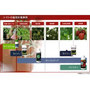 グリベテンNK 1L 果実のひび割れ・カルシウ...の詳細画像1
