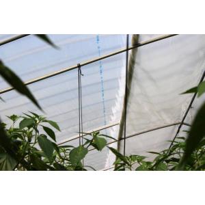 (厚さ0.075mm×幅330cm) 美サンランイースター 耐久塗布無滴散乱光 農POフィルム ※価...