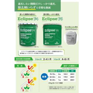 (動画あり) エクリプス Eclipse F6...の詳細画像1