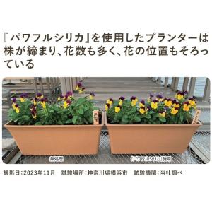 (動画あり) パワフルシリカ 1kg入り サカ...の詳細画像5