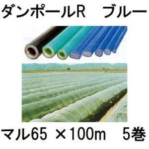 100本セット) ダンポールR マル65×2.1m 青 トンネル幅100cm 宇部