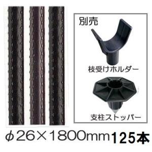 10本セット特価) セキスイ イボ竹 (プロ仕様 業務用) 農業用支柱 (黒